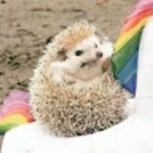 Meet your Posher, Dollbaby